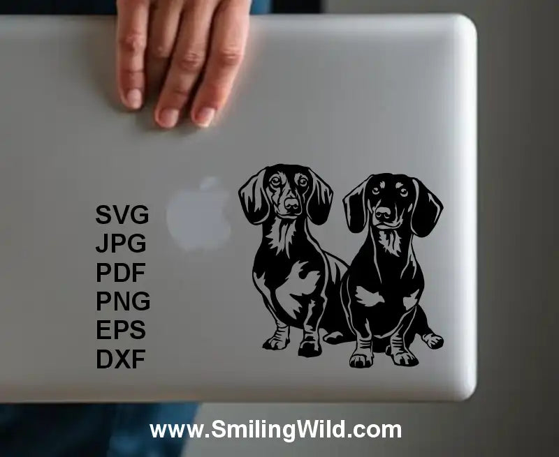 SVG silhouette of sitting Dachshunds for vinyl cutting and engraving made in vinyl sticker for laptop cover design