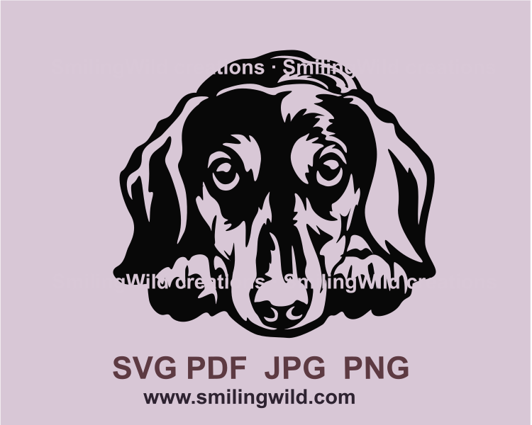 peeking Dachshund digital clip art drawing in a black color