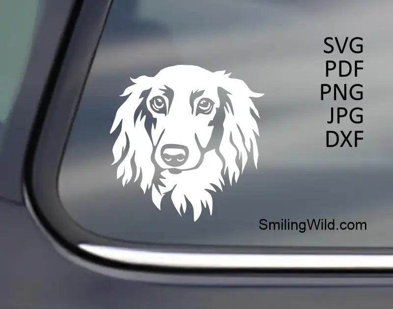longhaired dahsund in white color in SVG forcutting use on ciruct and laser
