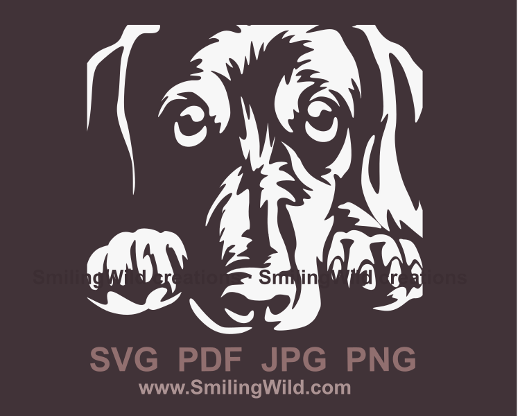 peeking Dachshund with big eyes in white digital style