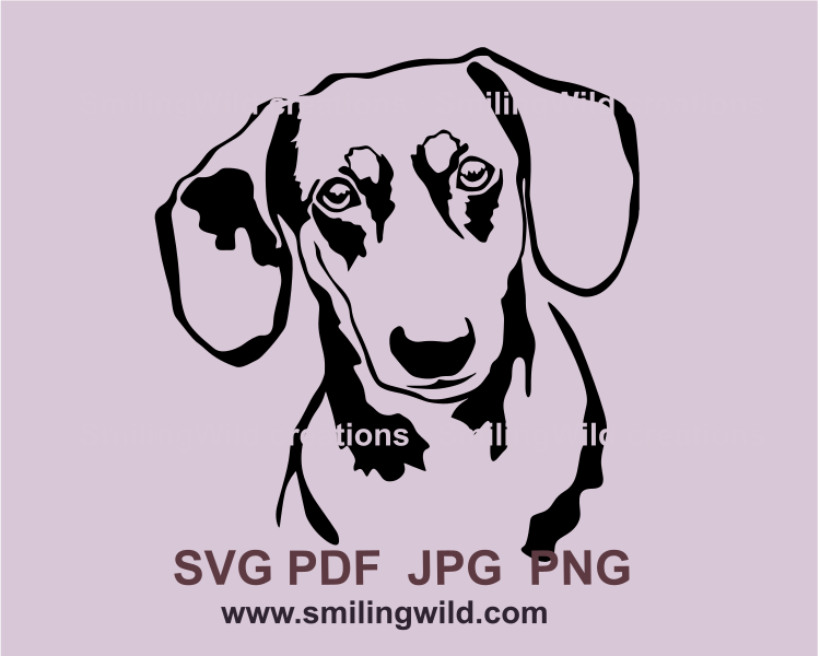 dachshund head made in graphic svg art