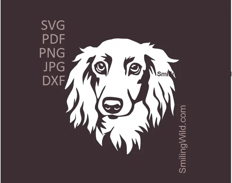 A white vector image for clipart use of a long haored dachchund head illustration.