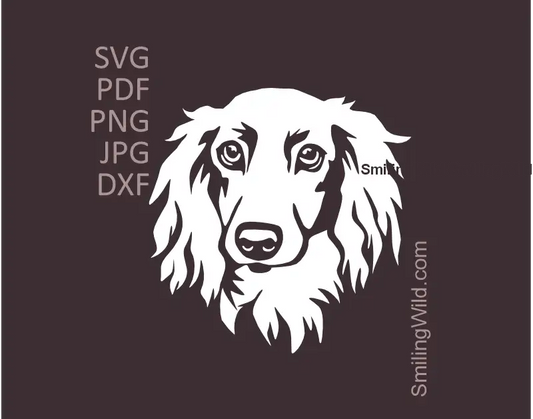 A white vector image for clipart use of a long haored dachchund head illustration.