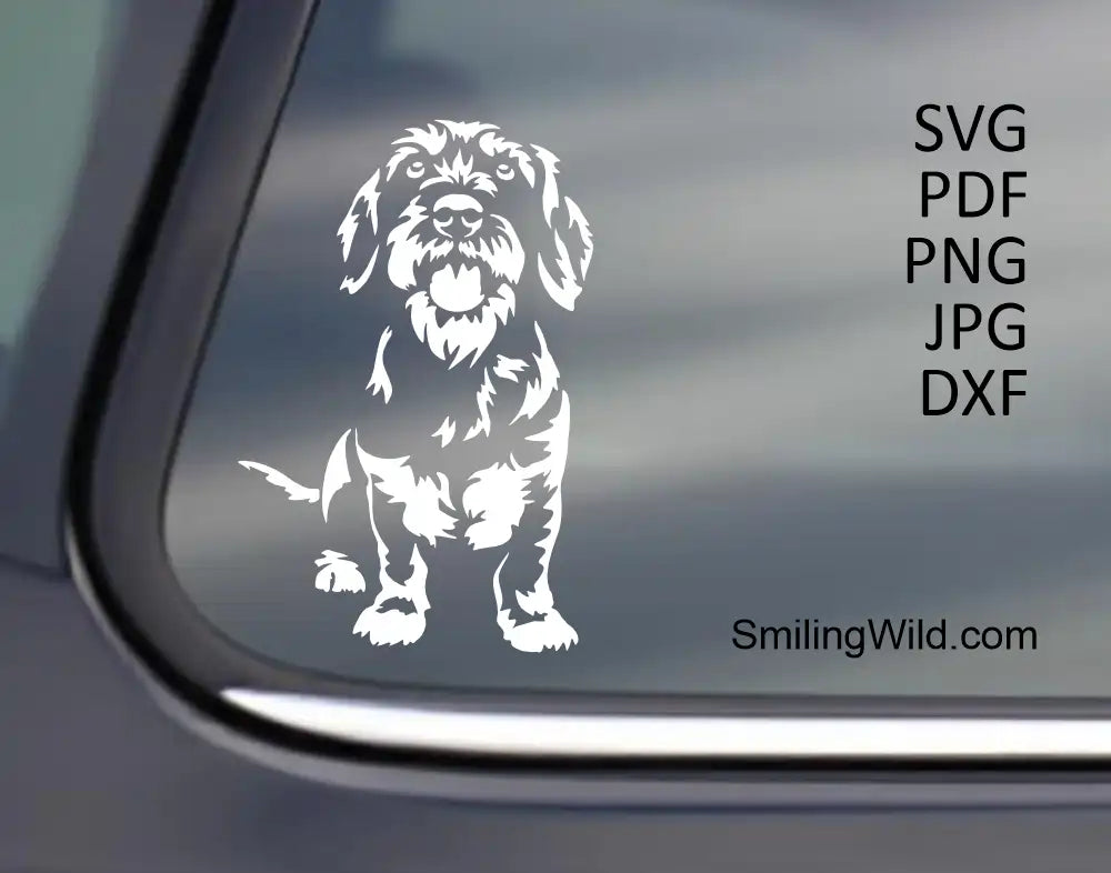 A white stencil and sticker file of a wirehaired dachshund SVG and png clipart drawing for cnc or vinyl cutting presented as a car window decal.
