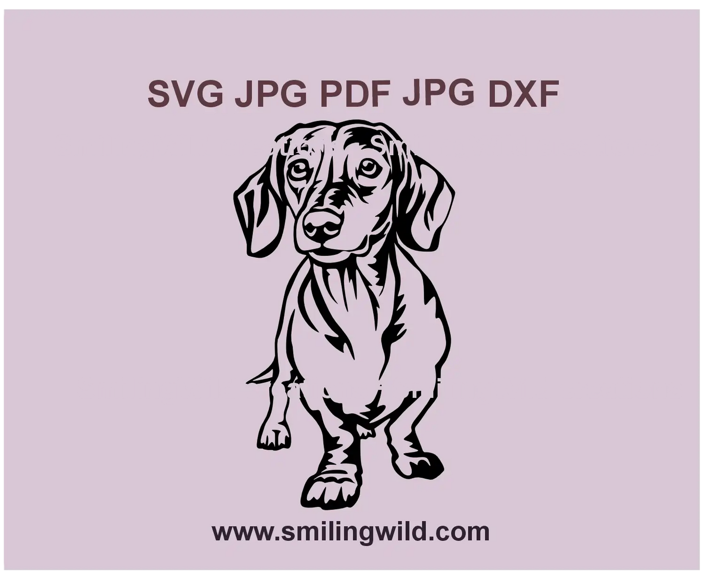 Cute Dachshund SVG sausage dog vector clipart for Cricut and laser cutting project