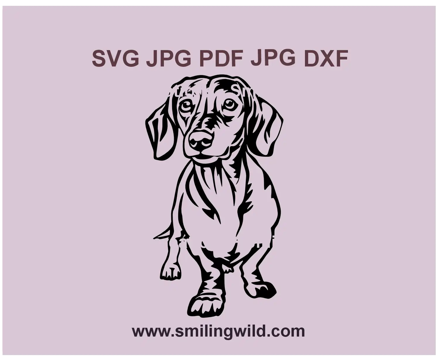 Cute Dachshund SVG sausage dog vector clipart for Cricut and laser cutting project