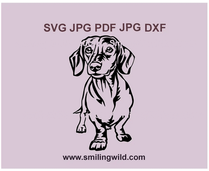 Cute Dachshund SVG sausage dog vector clipart for Cricut and laser cutting project