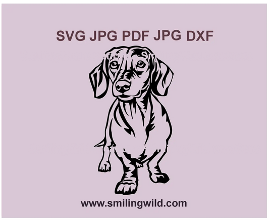 Cute Dachshund SVG sausage dog vector clipart for Cricut and laser cutting project