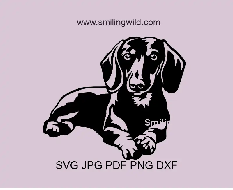 Dachshund SVG, Png, dxf Vector Art - cutting file for sausage Dog Clipart for crafts. Standard coat design optimized for Cricut and decals.