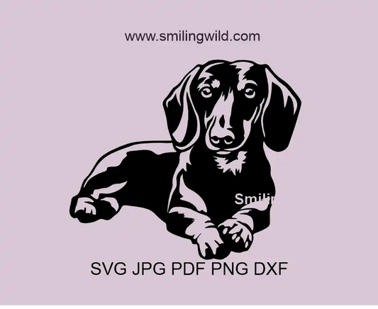 Dachshund SVG, Png, dxf Vector Art - cutting file for sausage Dog Clipart for crafts. Standard coat design optimized for Cricut and decals.