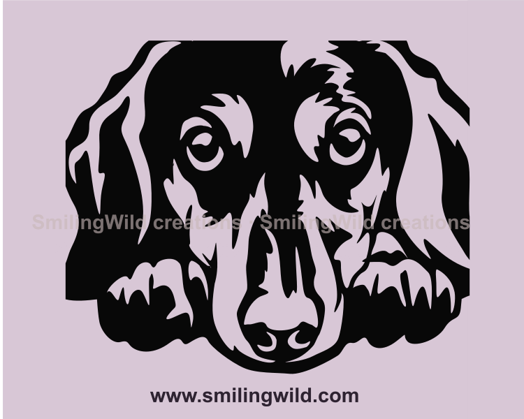 dachshund with adorable eyes digital graphic close up image