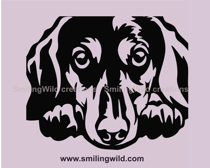 dachshund with adorable eyes digital graphic close up image