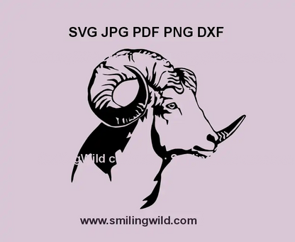 Dall Sheep head clipart in SVG, PNG, DXF format – mountain animal vector graphic for Cricut and laser engraving