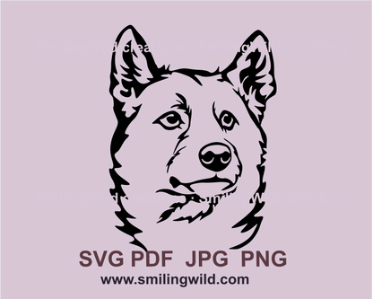 dingo face svg graphic drawing