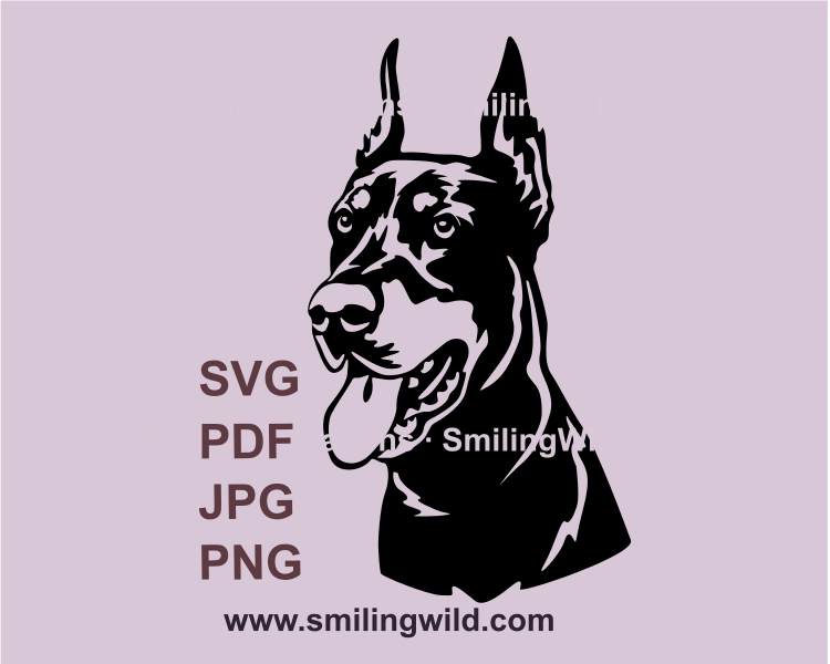 doberman pinscher vector portrait with open mouth, tongue out of it and cropped ears