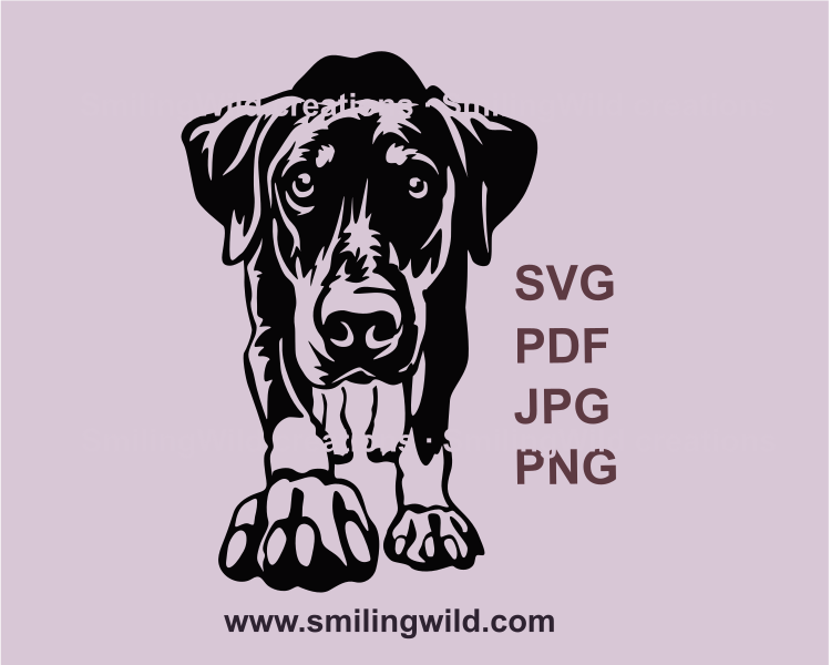 walking doberman pinscher graphic svg file in black color