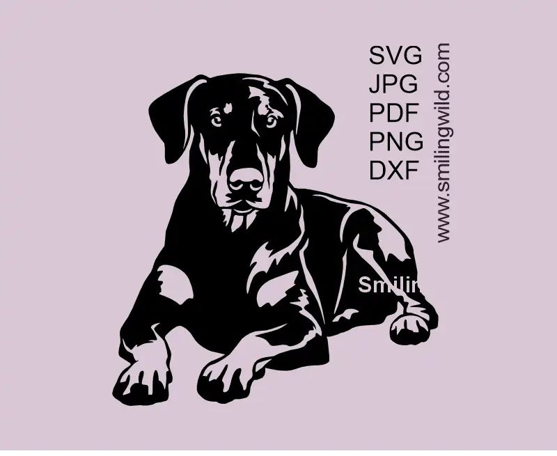 Dobermann SVG Vector Art Image featuring a full body lying Dog for crafting and DIY projects.
