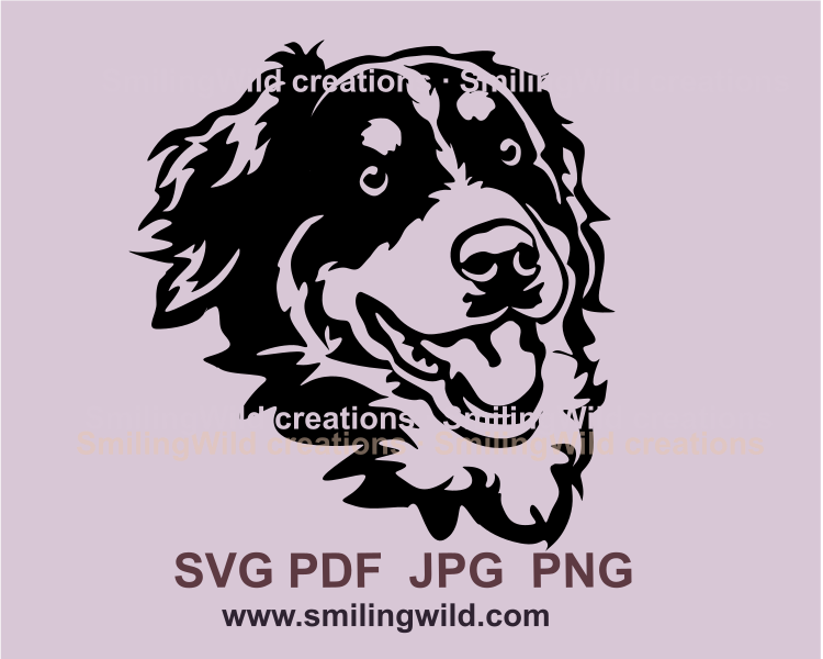 Smiling Bernese mpuntain dog face digital graphic