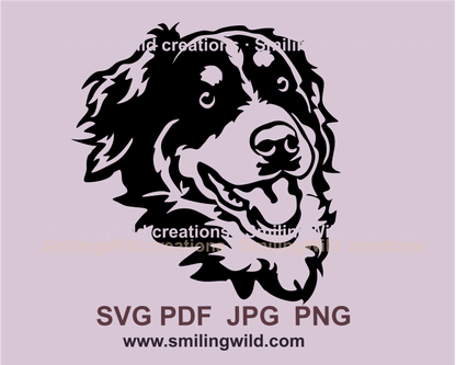 Smiling Bernese mpuntain dog face digital graphic