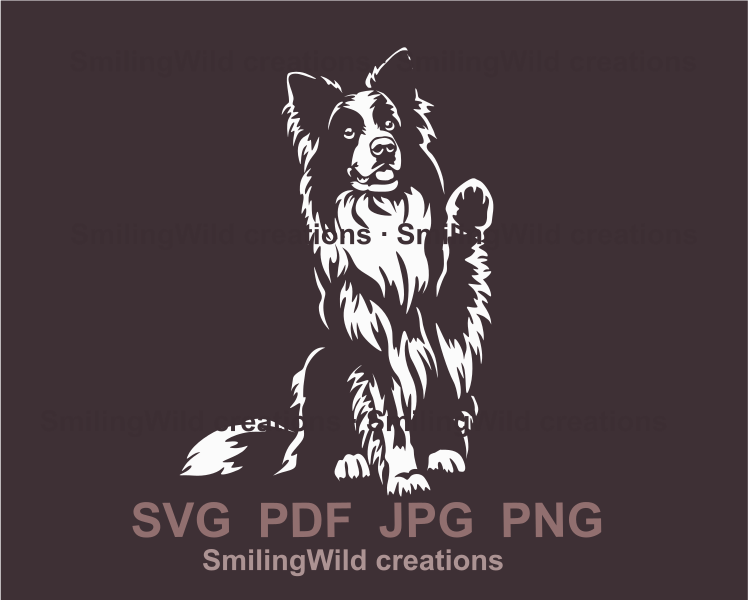 White border collie design in graphic style. The dog has rised it's paw