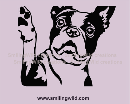 boston terrier face drawing