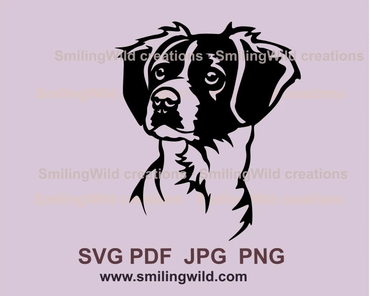 Brittany spaniel face in black graphic art