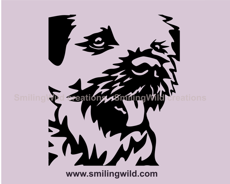 border terrier face close up graphic portrait