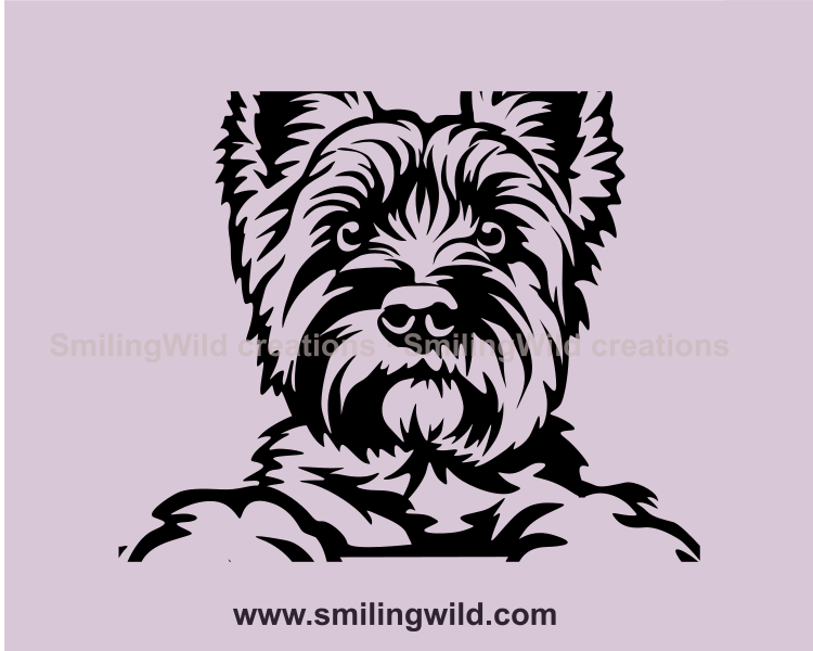 dog portrait of cairn terrier in realistic style