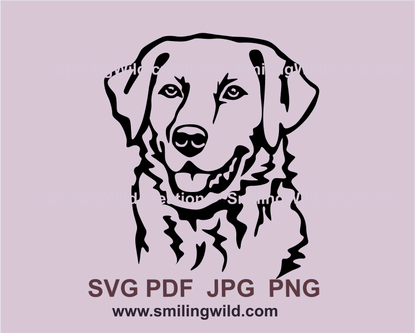 Smiling Chesapeake bay retriever graphic image