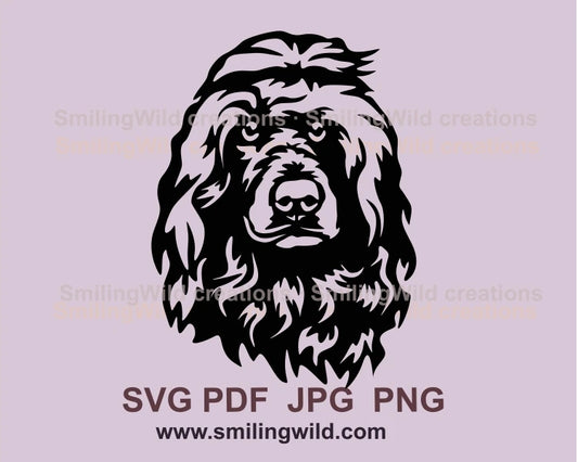 Portuguese water dog face portrait in black graphic art