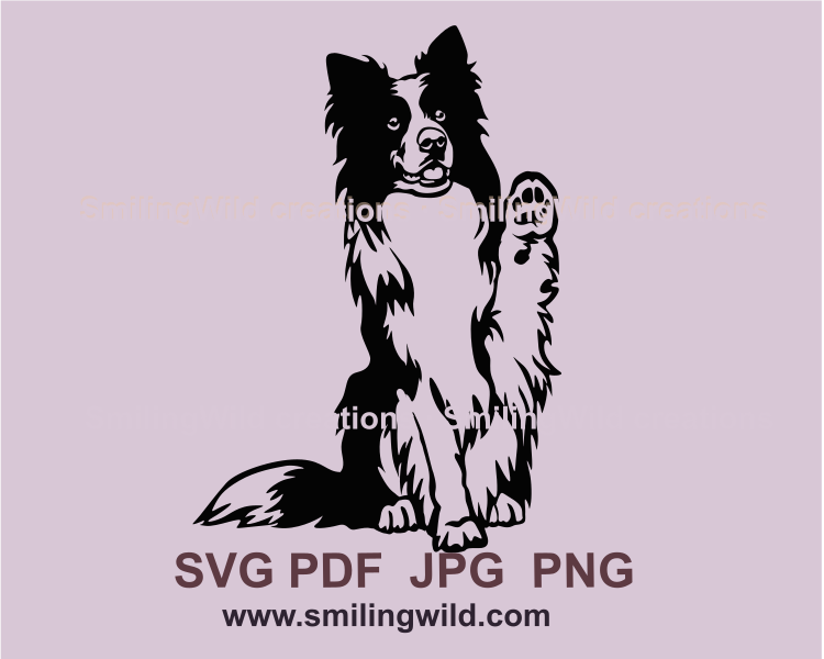 Sitting border collie with rised paw in black graphic drawing