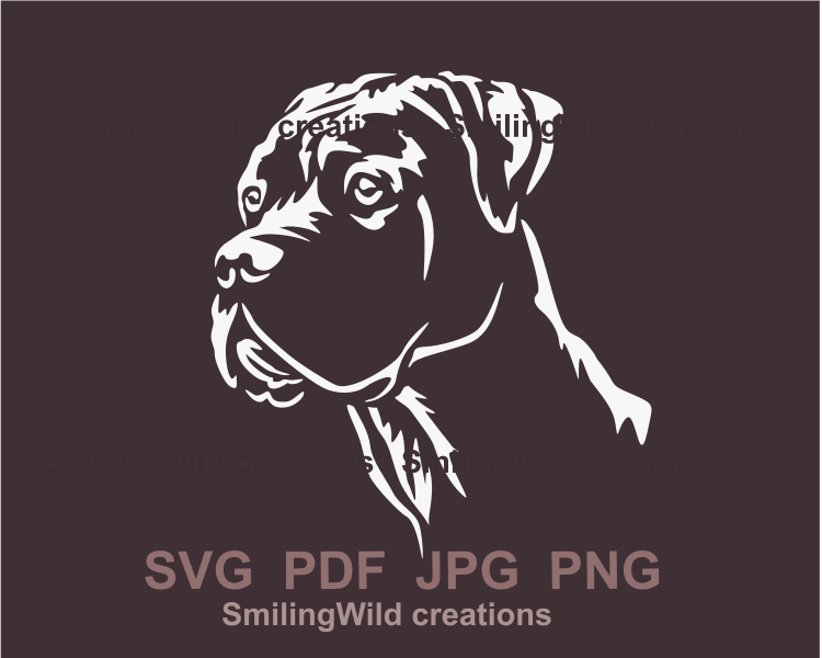 dogo argentino white graphic portrait