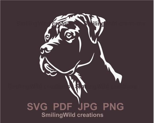 dogo argentino white graphic portrait