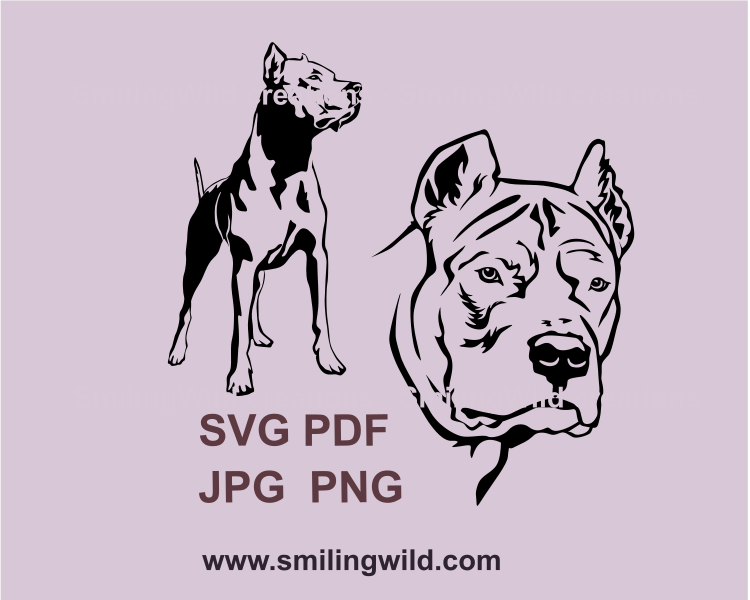 A standing dogo argentino and a face of this dog in a black color graphic svg style drawing