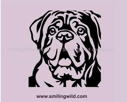 surprised face of dogue de bordeaux in close up frame
