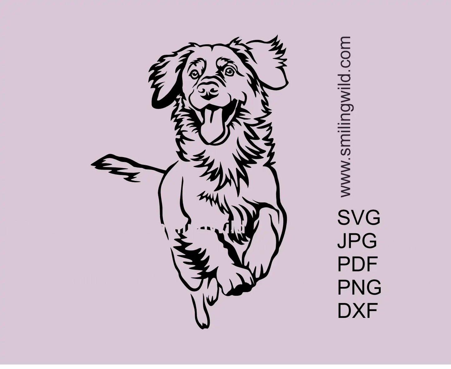 Running Duck Toller Dog clipart in SVG, PNG and DXF cut files for Cricut, Glowforge and other craftg machines