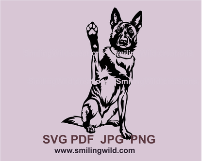 Dutch shepherd sitting and showing a paw in vector graphic style