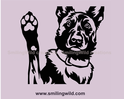 Dutch shperd showong paw portrait in black color