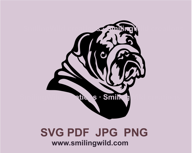 Peeking English bulldog looking over its shoulder. Image is made in graphical style