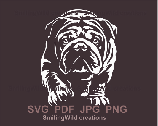 english bulldog svg design in white color shows a dog coming closer