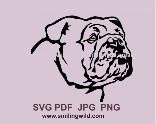 English bulldog face portrait made to use for clip art