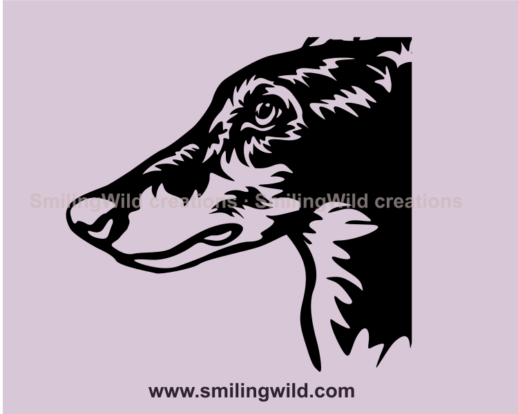 english greyhound clip art design in close up