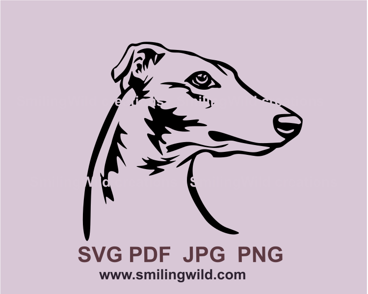 english greyhound looking over its shoulder svg portrait