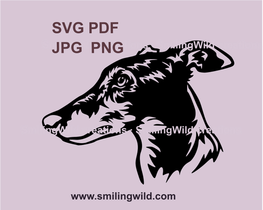 english greyhound graphic profile drawing