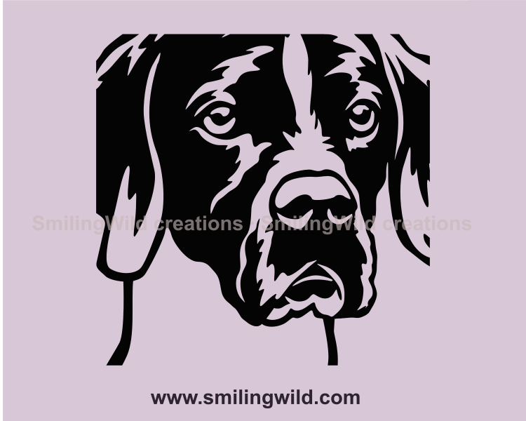 hunting dog face close up