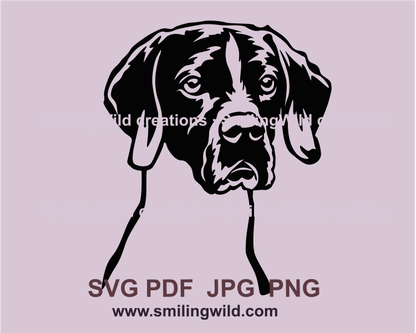 English pointer head portrait in graphic style