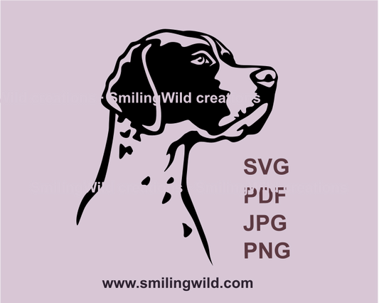 english pointer face portrait svg graphic image