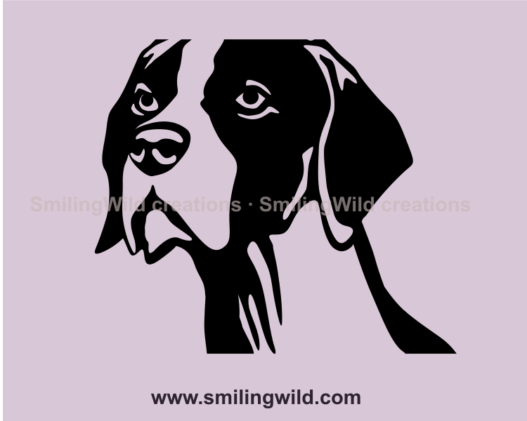 alert english pointer vector close up portrait