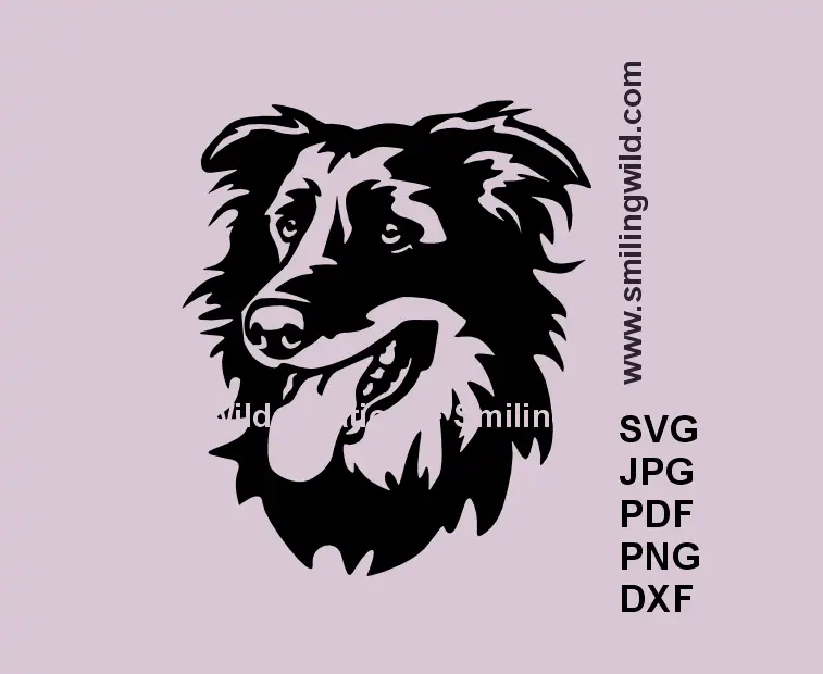 English Shepherd SVG head vector clipart for Cricut and laser engraving