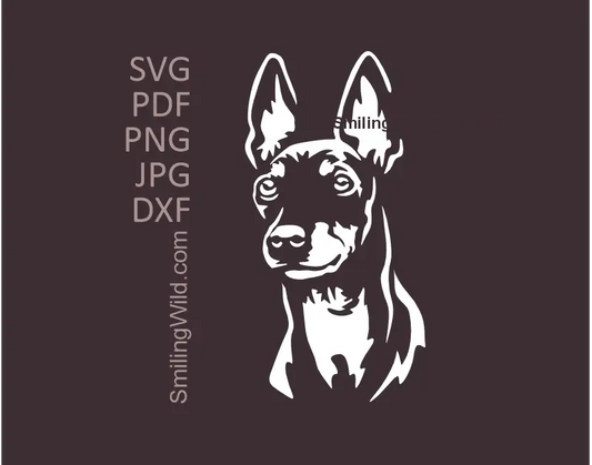 English Toy Terrier Dog head SVG Vector Graphic in white color. High-contrast design optimized for using on dark fabric, glass etching.